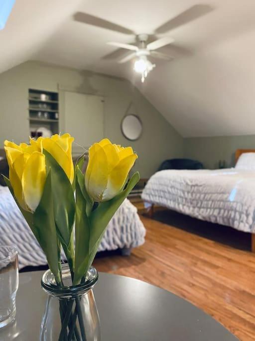 Quay Lane Studio Apartment Ballina  Εξωτερικό φωτογραφία